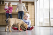 Family watching male toddler with puppy on dining room floor — Stock Photo