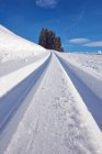 Tracce in neve profonda sotto il cielo azzurro vivido — Foto stock