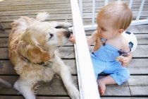 Baby boy playing with the family dog — Stock Photo