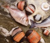 Top view of fish and scallops on surface — Stock Photo