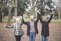 Tre sorelle che indossano maschere animali che ballano nel parco — Foto stock