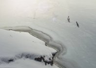 Vista aérea de dos pingüinos en el lago congelado - foto de stock