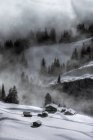 Misty scene, Murren, Bernese Oberland, Suiza - foto de stock