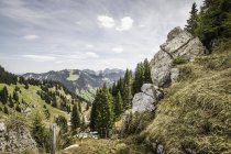 Vue panoramique des rochers sur le mont Wallberg, Bavière, Allemagne — Photo de stock