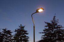 Silhuetas de árvores e lâmpada de rua iluminada na escuridão — Fotografia de Stock