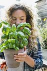 Young woman holding fresh basil in pot — Stock Photo