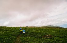 Vista trasera del padre y la hija de senderismo en el paisaje, Montes Urales, Rusia - foto de stock