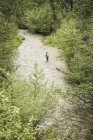 High angle view of man fly fishing in river — Stock Photo