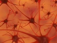 Primer plano extremo de las neuronas en el cerebro humano - foto de stock