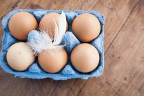 Шесть коричневых яиц в голубой коробке с перьями — стоковое фото