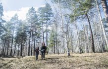Jeune homme adulte et garçon randonnée en forêt — Photo de stock