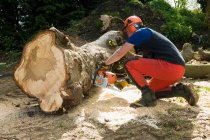 Young male tree surgeon kneeling whilst using chainsaw — Stock Photo