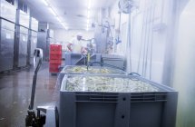 Männliche Arbeiter arbeiten in Bio-Tofu-Produktionsfabrik — Stockfoto