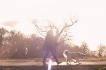 Femme adulte moyenne promenant son chien de montagne pyrénéen — Photo de stock