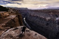 Uomo sdraiato sulla roccia, guardando la vista, Torroweap Overlook, Grand Canyon, Torroweap, Arizona, Stati Uniti d'America — Foto stock