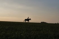 Silhouetted view of woman riding horse in field — Stock Photo