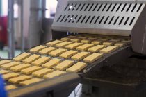 Conveyor belt with tofu in organic tofu production factory — Stock Photo