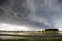 Vista panoramica del campo risaia sotto cielo nuvoloso — Foto stock