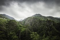 Tree covered mountains under dramatic cloudy sky — Stock Photo