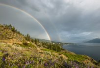 Summer storm and double rainbow over Ponderosa Pine trees, Okanagan Lake and the South Okanagan Valley Naramata, British Columbia, Canada — Stock Photo