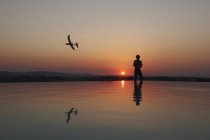 Silhouetted man flying radio controlled airplane on sunset coast, Buonconvento, Tuscany, Italia - foto de stock