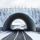 Дорога, проходящая через туннель зимой — стоковое фото