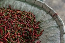 Rote Chilischoten auf dem Blumenmarkt, Bangkok, Thailand, Südostasien — Stockfoto