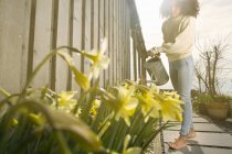 Взрослая женщина поливает цветы — стоковое фото