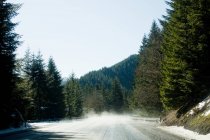 Leere Straße im Nebel überquert Kiefernwald — Stockfoto
