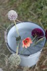 Top view of flowers in bucket at garden allotment — Stock Photo