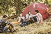 Четверо мужчин кемпинга в лесу пьют пиво и кофе, Дир Парк, Кейптаун, Южная Африка — стоковое фото