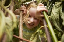 Nahaufnahme Porträt eines Mädchens, das sich im Gebüsch versteckt — Stockfoto