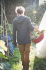Junger Mann mit Korb mit selbst angebautem Gemüse — Stockfoto