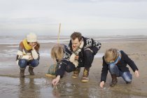 MID дорослих батьків з сином і дочкою, які шукають черепашки на пляжі, Нідерланди — стокове фото
