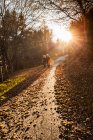 Couple de personnes âgées se promenant le long de la route forestière éclairée par le soleil en automne, Lombardie, Italie — Photo de stock
