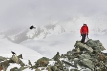 Uomo sulla cima di una montagna innevata che guarda l'uccello in volo, Saas Fee, Svizzera — Foto stock
