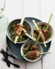 Skewers of pork with salad — Stock Photo
