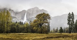 Paysage avec cascade brumeuse lointaine, parc national de Yosemite, Californie, États-Unis — Photo de stock