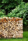 Pile de bois de chauffage sur herbe verte dans la cour arrière — Photo de stock