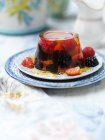 Fruit jelly dessert with fresh berries on plate — Stock Photo