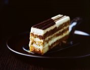 Chocolate sponge cake slice served on plate — Stock Photo