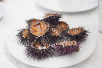 Close up of Sea urchins on plate — Stock Photo