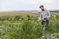 Людина на сільськогосподарські угіддя, використовуючи цифровий планшетний — стокове фото