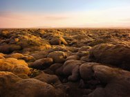 Paysage rocheux couvert de mousse à la lumière du coucher du soleil — Photo de stock