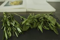 Rosemary verde e sábio com livro cozinheiro na mesa — Fotografia de Stock