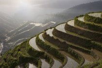 Vista de alto ângulo de campos de arrozais em longsheng terraços ricefields — Fotografia de Stock