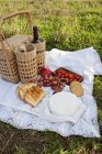 Früchte mit Käse und alkoholischen Getränken auf Gras beim Picknick — Stockfoto