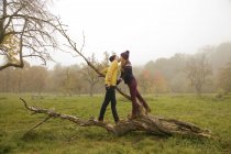 Молодая пара целуется на голом дереве в туманном парке — стоковое фото