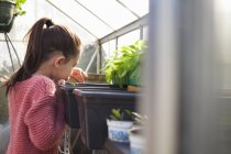 Girl looking at plants in greenhouse — Stock Photo