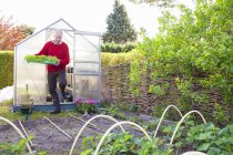Uomo anziano che trasporta piante in giardino — Foto stock